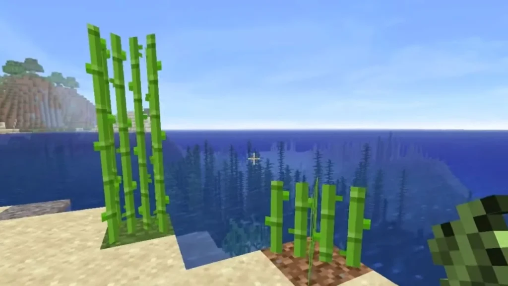 Sugar Cane Farm Best Minecraft Farm Ideas