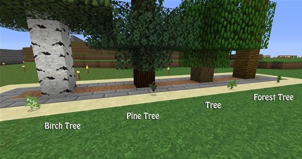 Tree Farm Best Minecraft Farm Ideas
